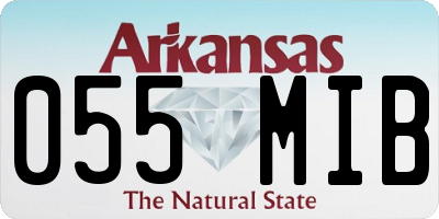 AR license plate 055MIB