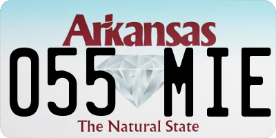 AR license plate 055MIE