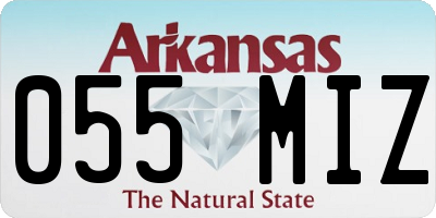 AR license plate 055MIZ