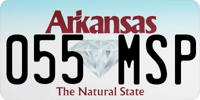 AR license plate 055MSP