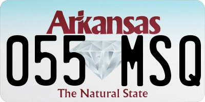 AR license plate 055MSQ