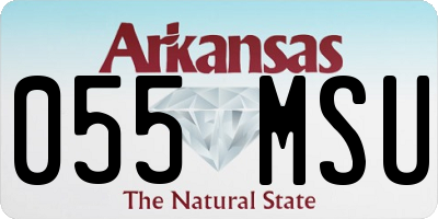 AR license plate 055MSU