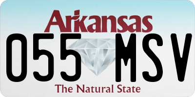 AR license plate 055MSV
