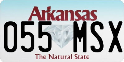 AR license plate 055MSX