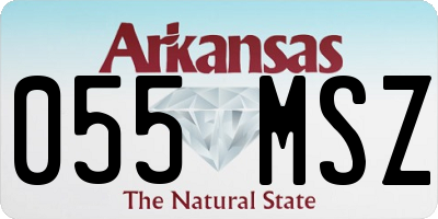 AR license plate 055MSZ