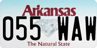 AR license plate 055WAW