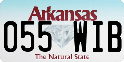 AR license plate 055WIB