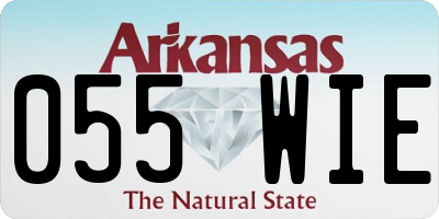 AR license plate 055WIE