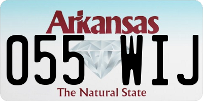 AR license plate 055WIJ