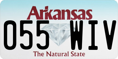 AR license plate 055WIV
