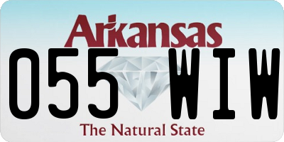 AR license plate 055WIW
