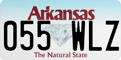 AR license plate 055WLZ