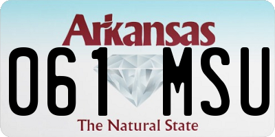 AR license plate 061MSU
