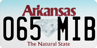AR license plate 065MIB