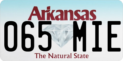 AR license plate 065MIE