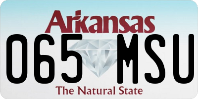 AR license plate 065MSU