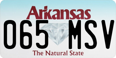 AR license plate 065MSV