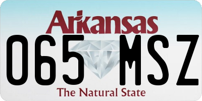 AR license plate 065MSZ
