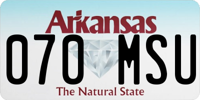 AR license plate 070MSU