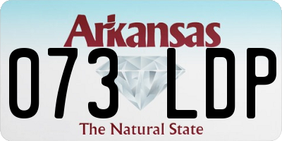 AR license plate 073LDP