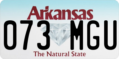 AR license plate 073MGU