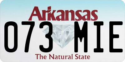 AR license plate 073MIE
