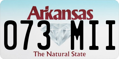 AR license plate 073MII