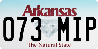 AR license plate 073MIP
