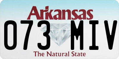 AR license plate 073MIV