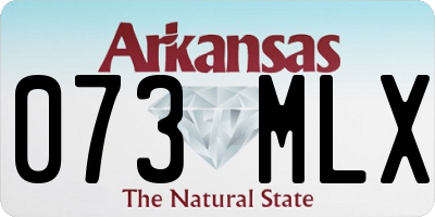 AR license plate 073MLX