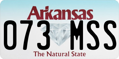 AR license plate 073MSS