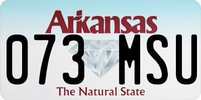 AR license plate 073MSU