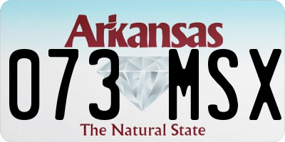 AR license plate 073MSX