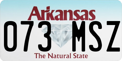 AR license plate 073MSZ