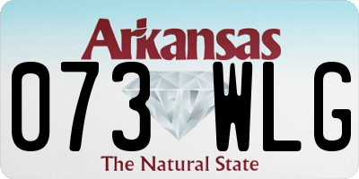 AR license plate 073WLG
