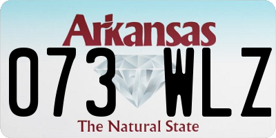 AR license plate 073WLZ