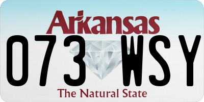 AR license plate 073WSY