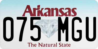 AR license plate 075MGU