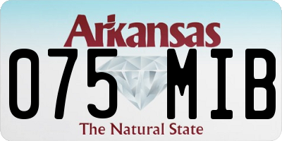 AR license plate 075MIB
