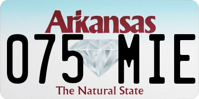 AR license plate 075MIE