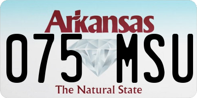 AR license plate 075MSU