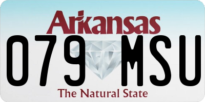 AR license plate 079MSU