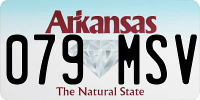 AR license plate 079MSV