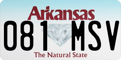 AR license plate 081MSV