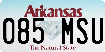 AR license plate 085MSU