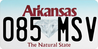 AR license plate 085MSV