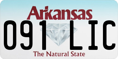 AR license plate 091LIC
