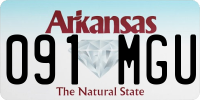 AR license plate 091MGU