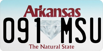AR license plate 091MSU