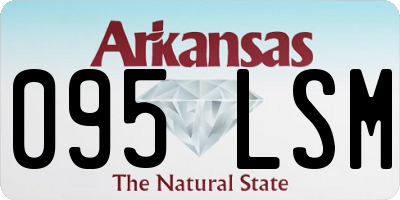 AR license plate 095LSM